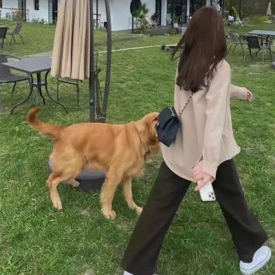 小脚板走天涯4